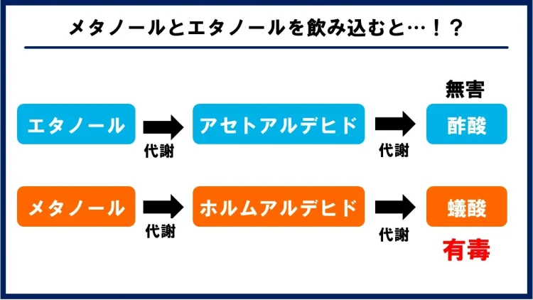 メタノールとエタノールの代謝