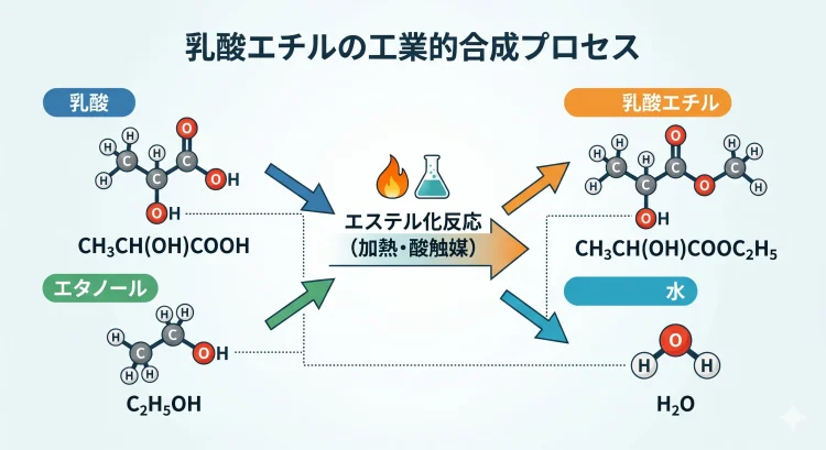 乳酸エチルの作り方
