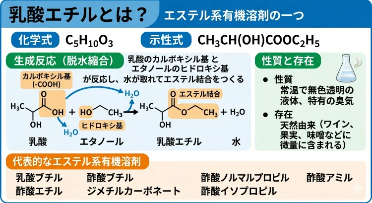 乳酸エチルとは