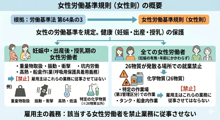 女性則の概要