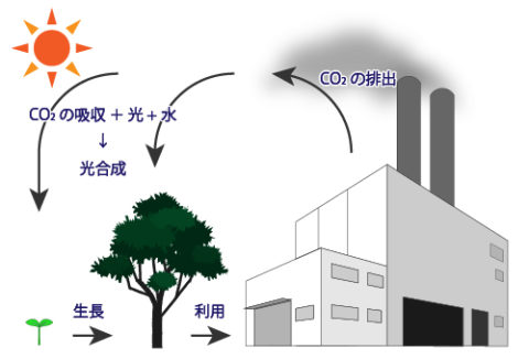 カーボンニュートラルの二酸化炭素のサイクルのイメージ